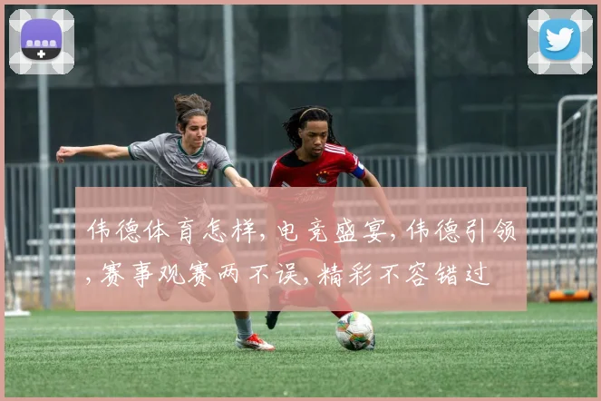 伟德体育怎样,电竞盛宴,伟德引领,赛事观赛两不误,精彩不容错过