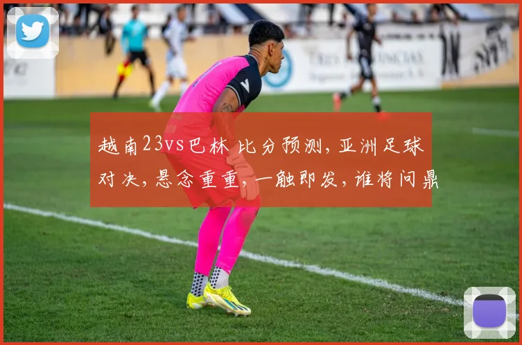 越南23vs巴林 比分预测,亚洲足球对决,悬念重重,一触即发,谁将问鼎