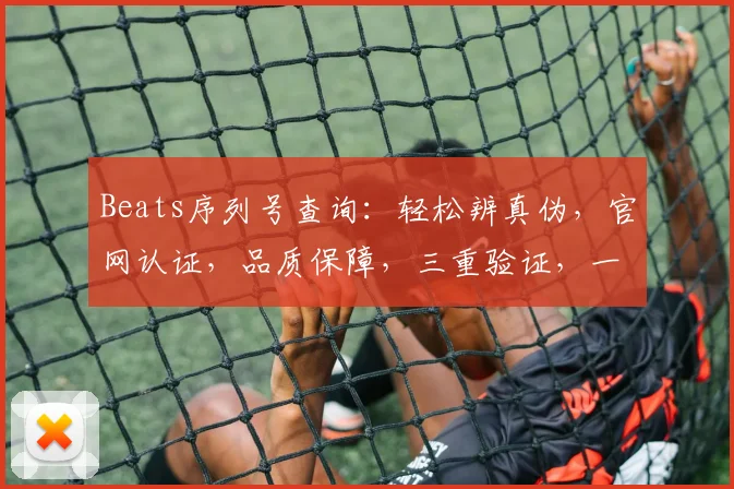 Beats序列号查询：轻松辨真伪，官网认证，品质保障，三重验证，一步到位