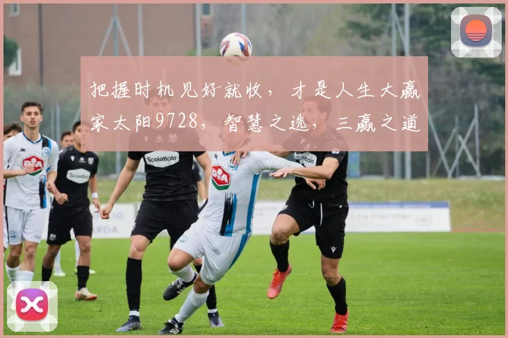 把握时机见好就收，才是人生大赢家太阳9728，智慧之选，三赢之道