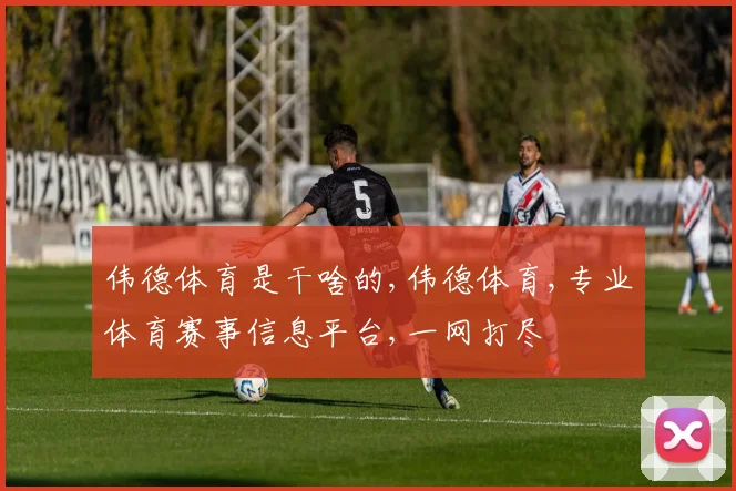 伟德体育是干啥的,伟德体育,专业体育赛事信息平台,一网打尽