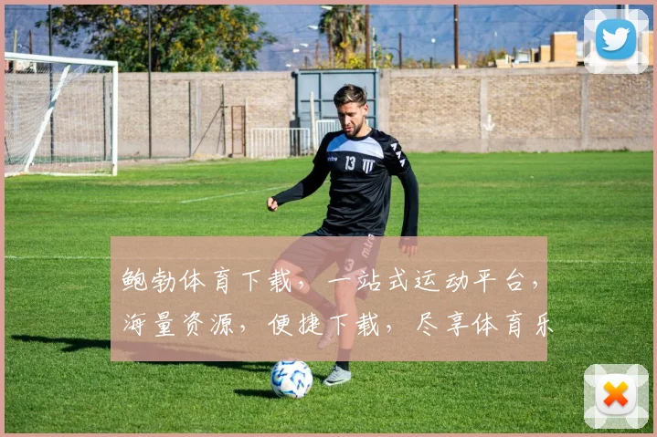 鲍勃体育下载，一站式运动平台，海量资源，便捷下载，尽享体育乐趣，体验非凡