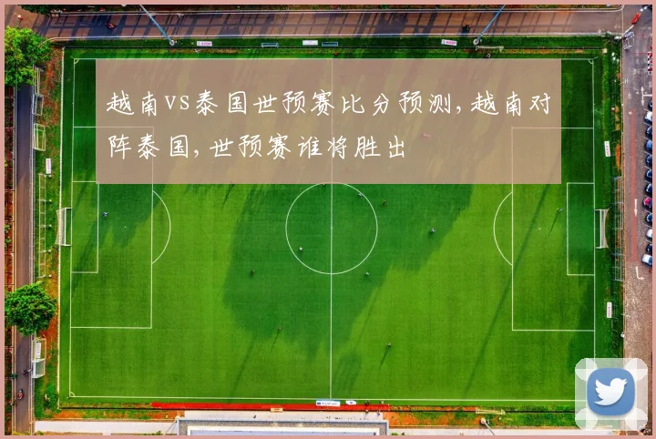 越南vs泰国世预赛比分预测,越南对阵泰国,世预赛谁将胜出